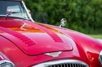 1990 Austin Healey 3000 Sebring Replica for sale