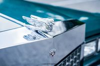1976 Cadillac Fleetwood Sixty Special Brougham for sale