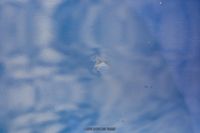 2003 Aston Martin DB7 Vantage for sale