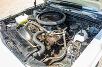 1979 Chevrolet El Camino SS for sale