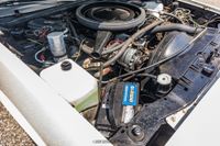 1979 Chevrolet El Camino SS for sale