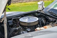 1981 Chevrolet Corvette for sale