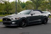 2015 Ford Mustang GT Convertible Premium Supercharged for sale