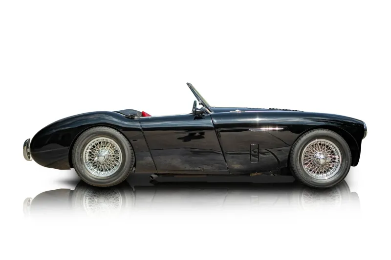 An incredible side shot photo of aAustin Healey 100 that you should buy.