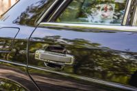 1989 Mercedes-Benz 560SEL for sale
