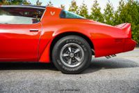 1979 Pontiac Firebird Trans Am for sale