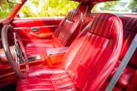 1979 Pontiac Firebird Trans Am for sale