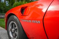 1979 Pontiac Firebird Trans Am for sale