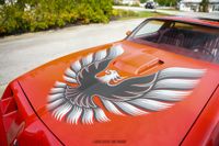 1979 Pontiac Firebird Trans Am for sale