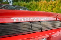 1979 Pontiac Firebird Trans Am for sale