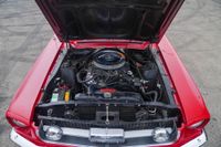 1967 Ford Mustang for sale