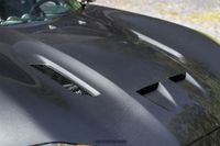 2016 VLF Force 1 V10 for sale