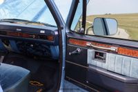 1982 Chevrolet C10 Scottsdale for sale