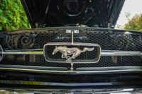 1965 Ford Mustang GT Fastback for sale