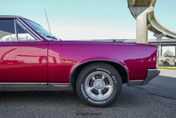 1967 Pontiac GTO for sale