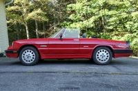 1988 Alfa Romeo Spider Quadrifoglio for sale