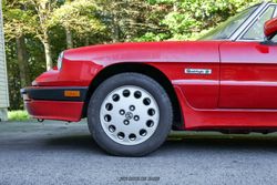 1988 Alfa Romeo Spider Quadrifoglio for sale