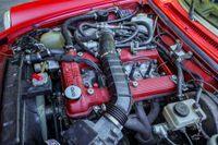 1988 Alfa Romeo Spider Quadrifoglio for sale