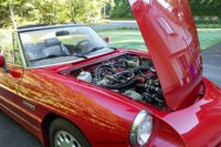 1988 Alfa Romeo Spider Quadrifoglio for sale