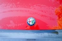 1988 Alfa Romeo Spider Quadrifoglio for sale