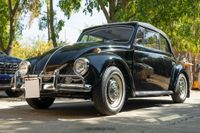 1967 Volkswagen Beetle Convertible for sale