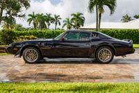 1979 Pontiac Firebird Trans Am Y84 Special Edition for sale