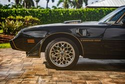 1979 Pontiac Firebird Trans Am Y84 Special Edition for sale