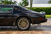 1979 Pontiac Firebird Trans Am Y84 Special Edition for sale