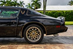 1979 Pontiac Firebird Trans Am Y84 Special Edition for sale