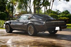 1979 Pontiac Firebird Trans Am Y84 Special Edition for sale