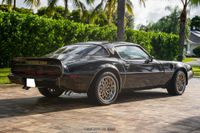 1979 Pontiac Firebird Trans Am Y84 Special Edition for sale