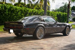 1979 Pontiac Firebird Trans Am Y84 Special Edition for sale