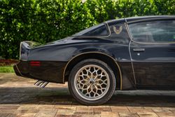 1979 Pontiac Firebird Trans Am Y84 Special Edition for sale