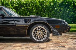 1979 Pontiac Firebird Trans Am Y84 Special Edition for sale