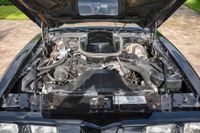 1979 Pontiac Firebird Trans Am Y84 Special Edition for sale