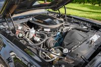1979 Pontiac Firebird Trans Am Y84 Special Edition for sale
