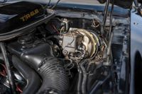 1979 Pontiac Firebird Trans Am Y84 Special Edition for sale