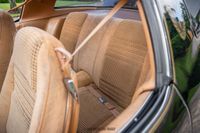 1979 Pontiac Firebird Trans Am Y84 Special Edition for sale