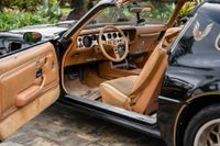 1979 Pontiac Firebird Trans Am Y84 Special Edition for sale