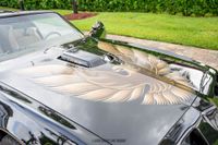 1979 Pontiac Firebird Trans Am Y84 Special Edition for sale