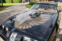 1979 Pontiac Firebird Trans Am Y84 Special Edition for sale