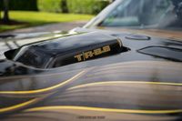 1979 Pontiac Firebird Trans Am Y84 Special Edition for sale