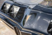1979 Pontiac Firebird Trans Am Y84 Special Edition for sale