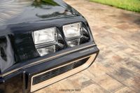 1979 Pontiac Firebird Trans Am Y84 Special Edition for sale