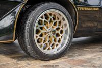 1979 Pontiac Firebird Trans Am Y84 Special Edition for sale