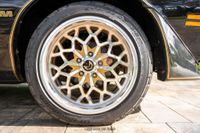 1979 Pontiac Firebird Trans Am Y84 Special Edition for sale