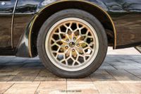 1979 Pontiac Firebird Trans Am Y84 Special Edition for sale