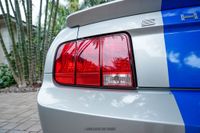 2009 Ford Mustang Shelby GT500KR for sale