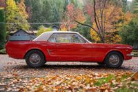1966 Ford Mustang for sale