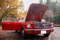 1966 Ford Mustang for sale